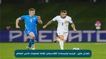 تعادل مثير.. فرنسا وأيسلندا تتقاسمان نقاط تصفيات كأس العالم